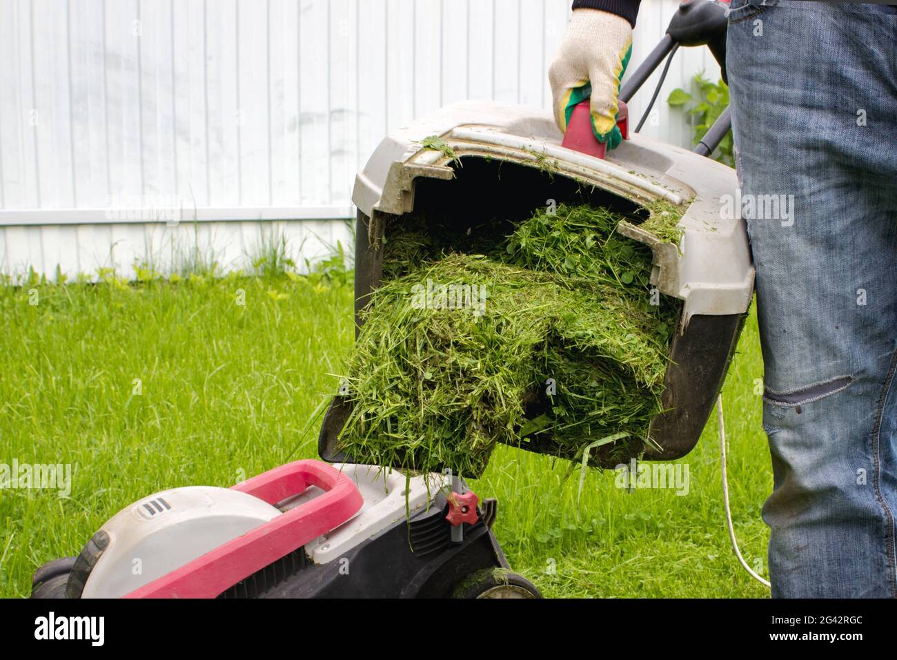 Man with lawn mower grass collector in hand. Man with lawnmower. Gardening and landscaping concept Stock Photo