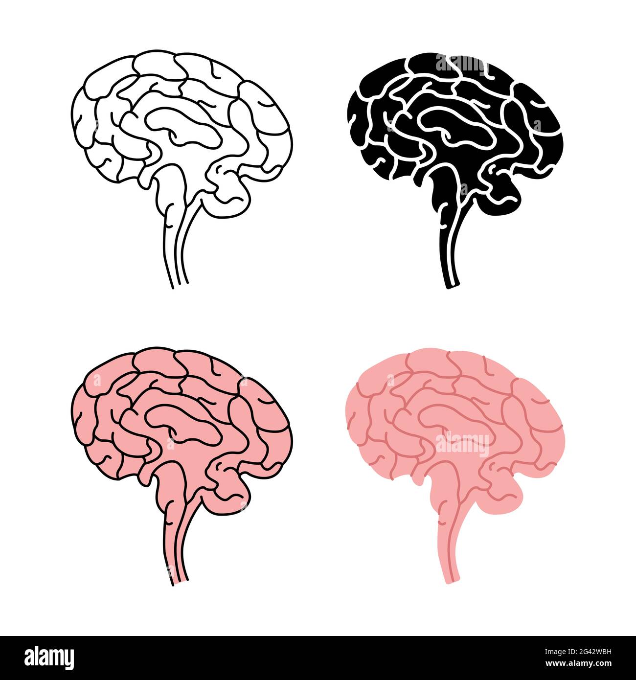 Healthy human brain side view vector illustration isolated on white background Stock Photo