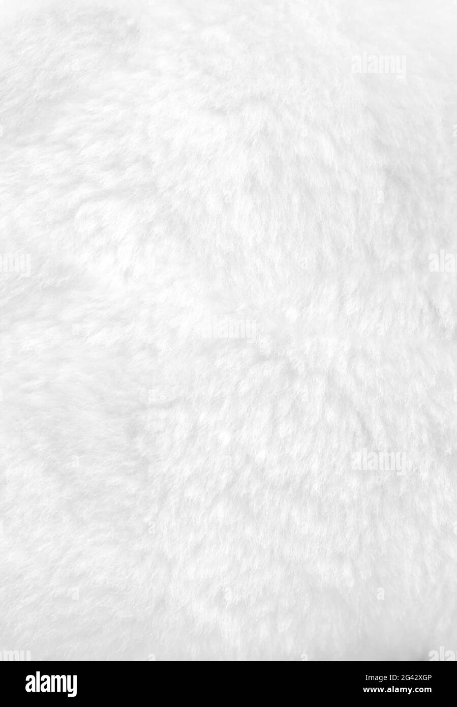 White fur background close up view. Stock Photo