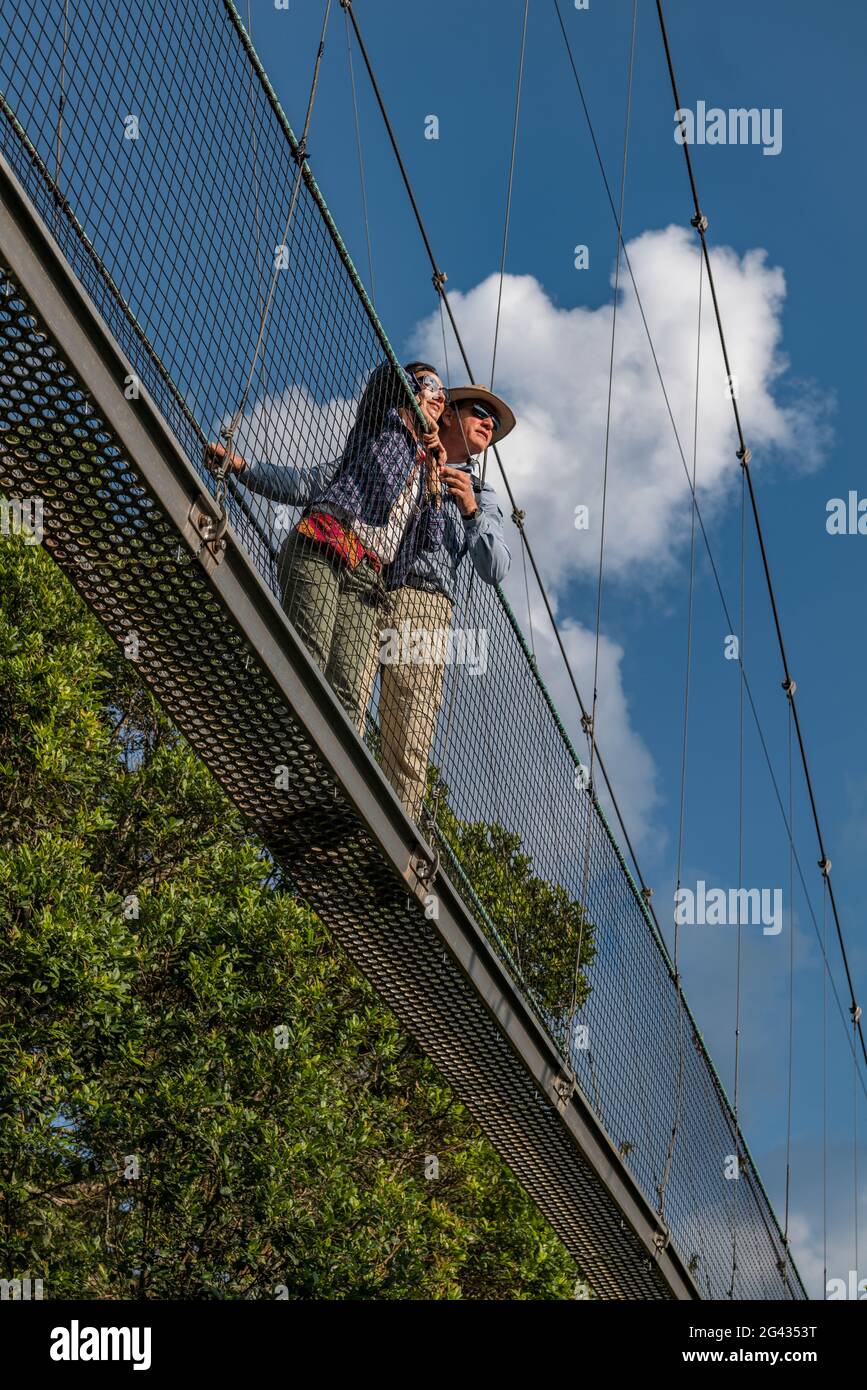 Low angle of view to couple on suspension bridge of Canopy Walkway