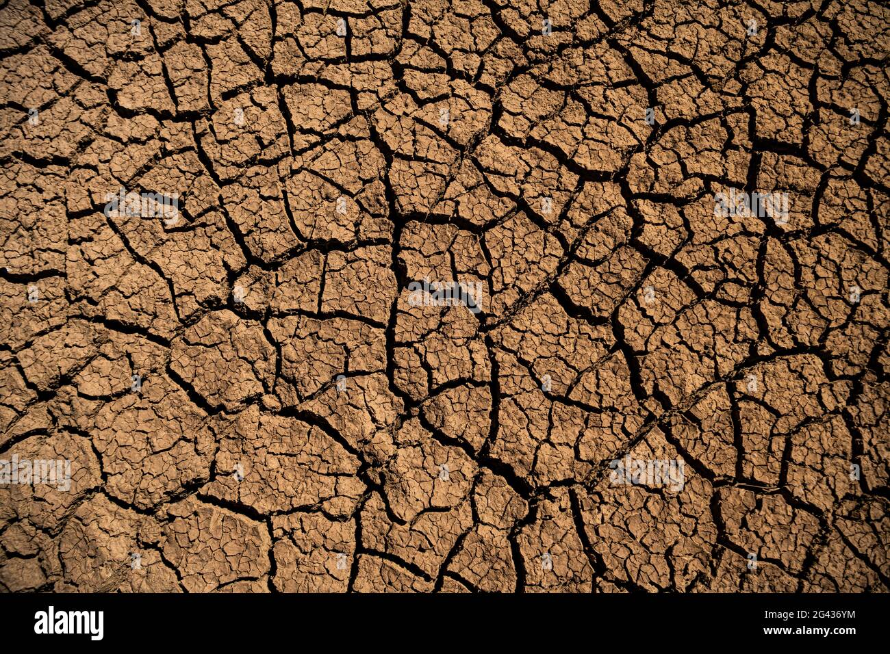 Brown dry ground with cracks Stock Photo