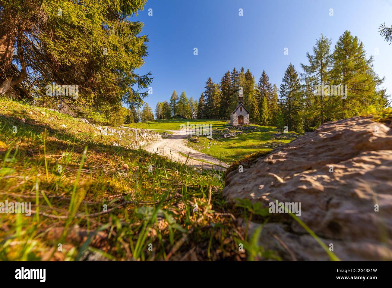 Autumn hiking trail on the Hemmer Suppen Alm, Chiemgau, Bavaria, Germany Stock Photo