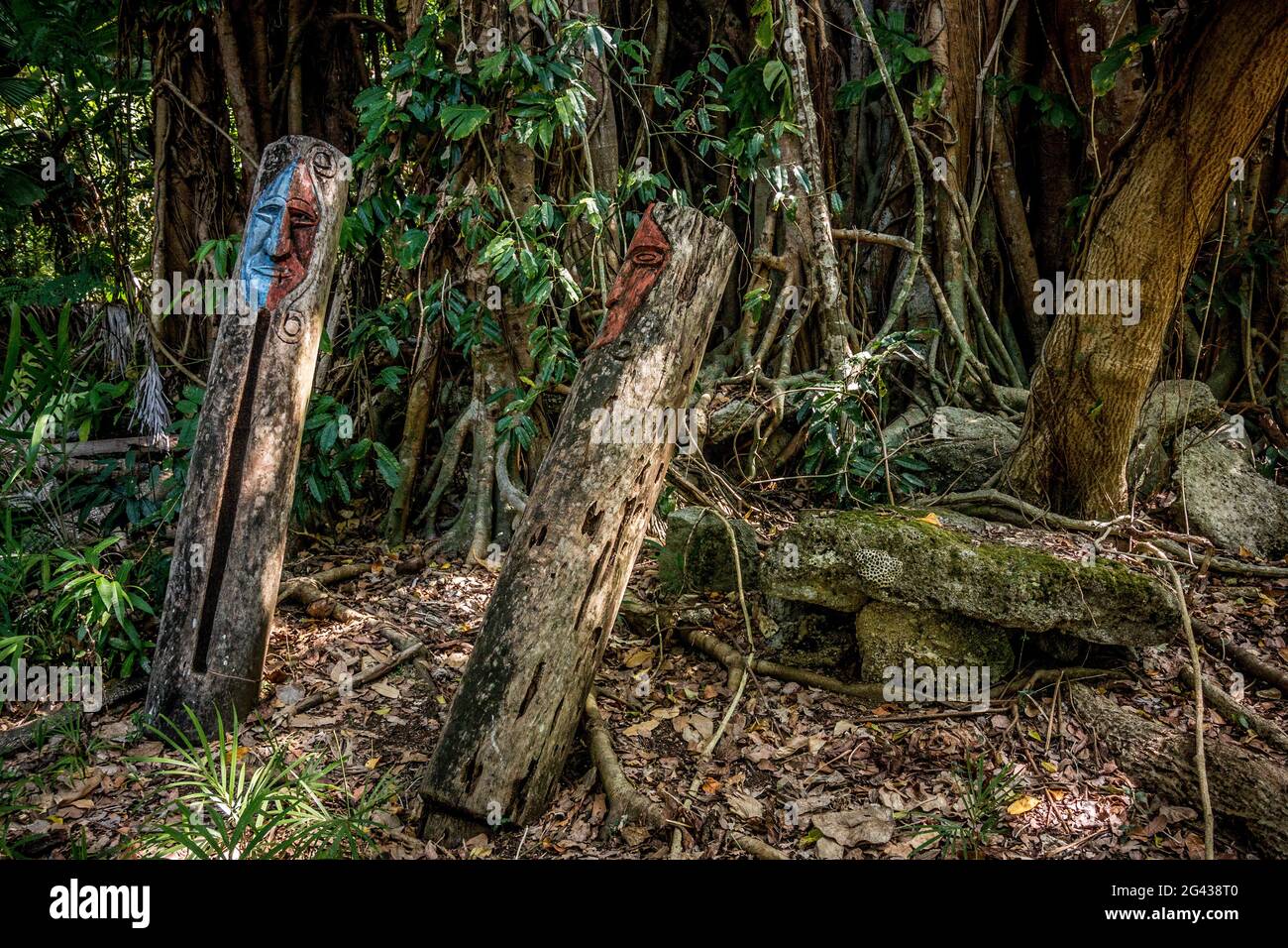 Wooden figures on a ritual place, Wala Island, Malekula, Vanuatu, South ...