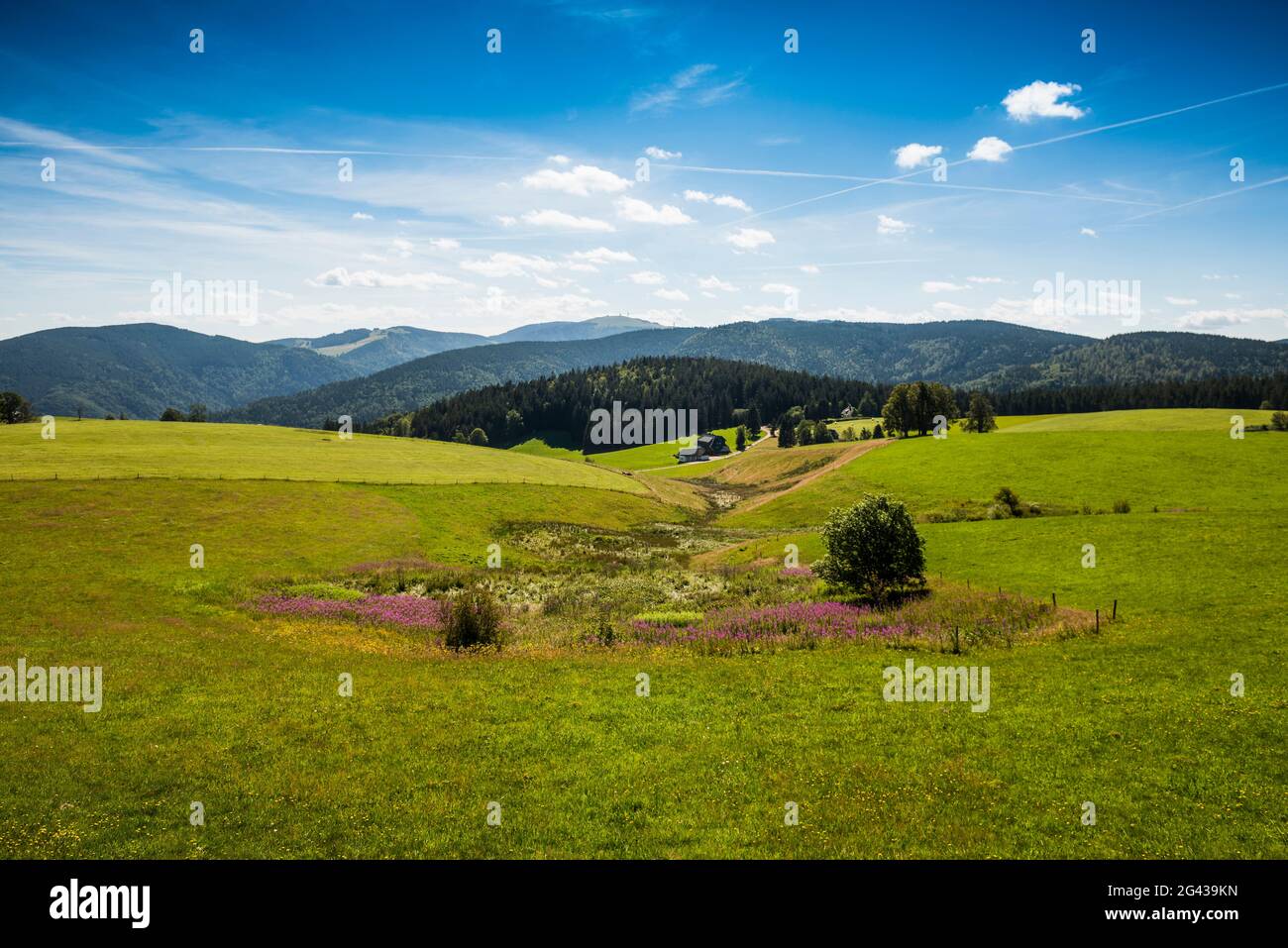 View from Schauinsland to Feldberg, Black Forest, Baden-Wuerttemberg, Germany Stock Photo