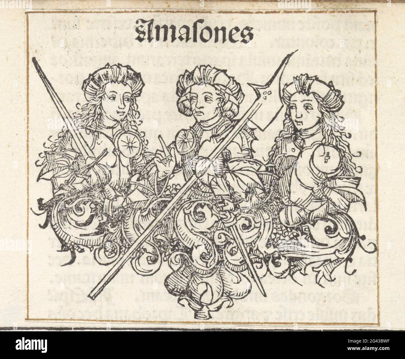 Amazons; Amasones; Liber chronicarum. A flower celk with three amazons, each dressed in a harness and with turban on the head. The first has a sword, the second a battle ax and the third a dagger. The print is part of an album. Stock Photo
