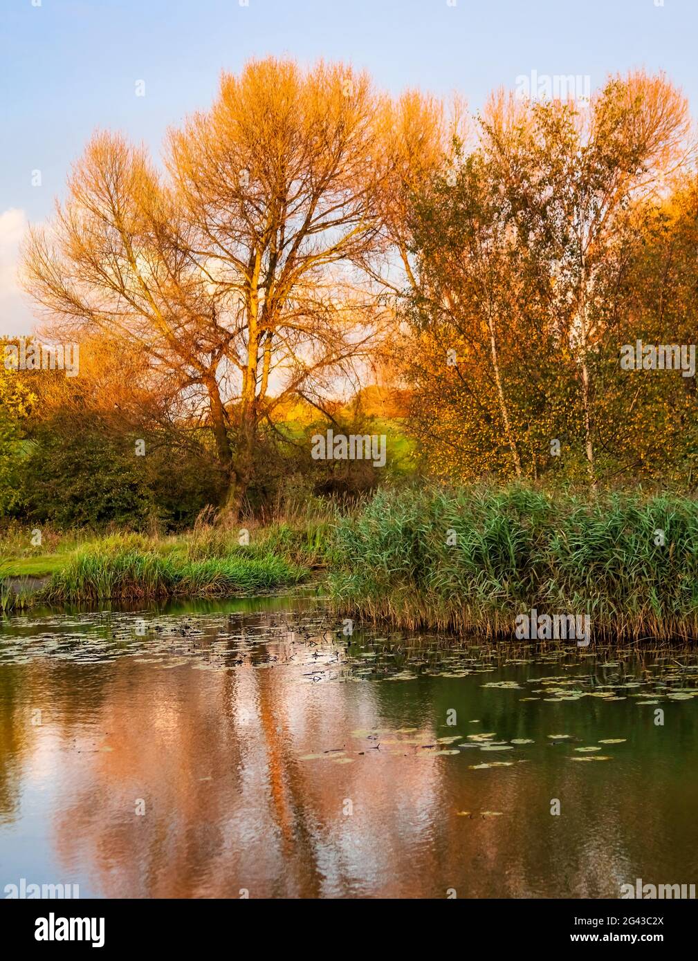 Reflections of trees on the calm lake Stock Photo