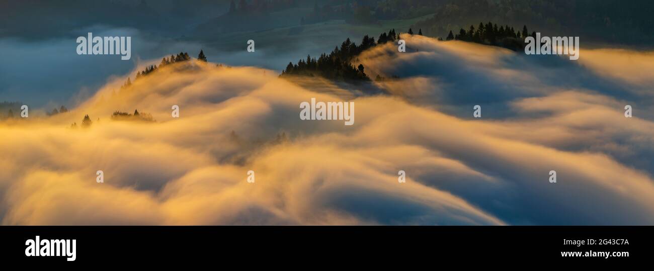 Fog in mountains at sunrise, Pieniny, Lesser Poland Voivodeship, Poland Stock Photo