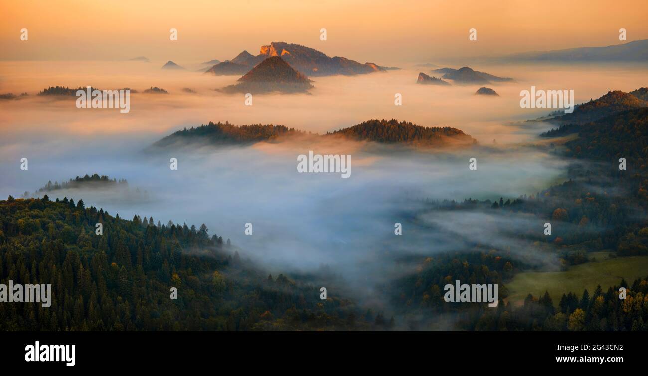 Fog in Pieniny Mountains at sunrise, Lesser Poland Voivodeship, Poland Stock Photo