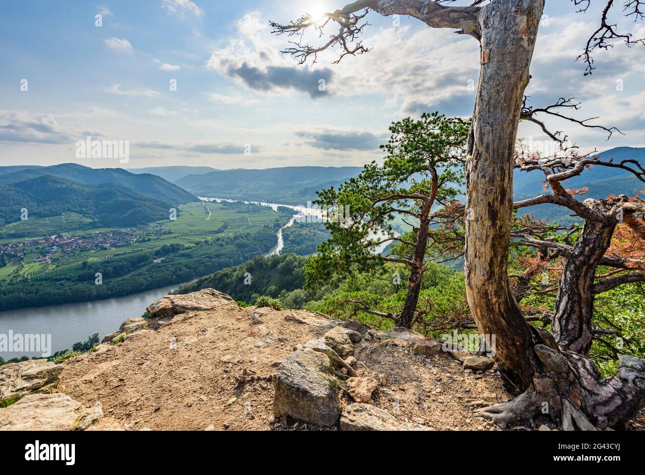 View from the Dürnsteiner Kanzel on the Danube Valley, Wachau, Lower Austria, Austria Stock Photo