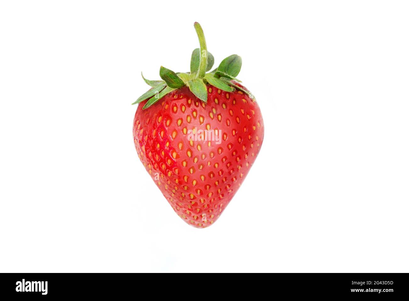 Strawberry closeup isolated on white background Stock Photo - Alamy