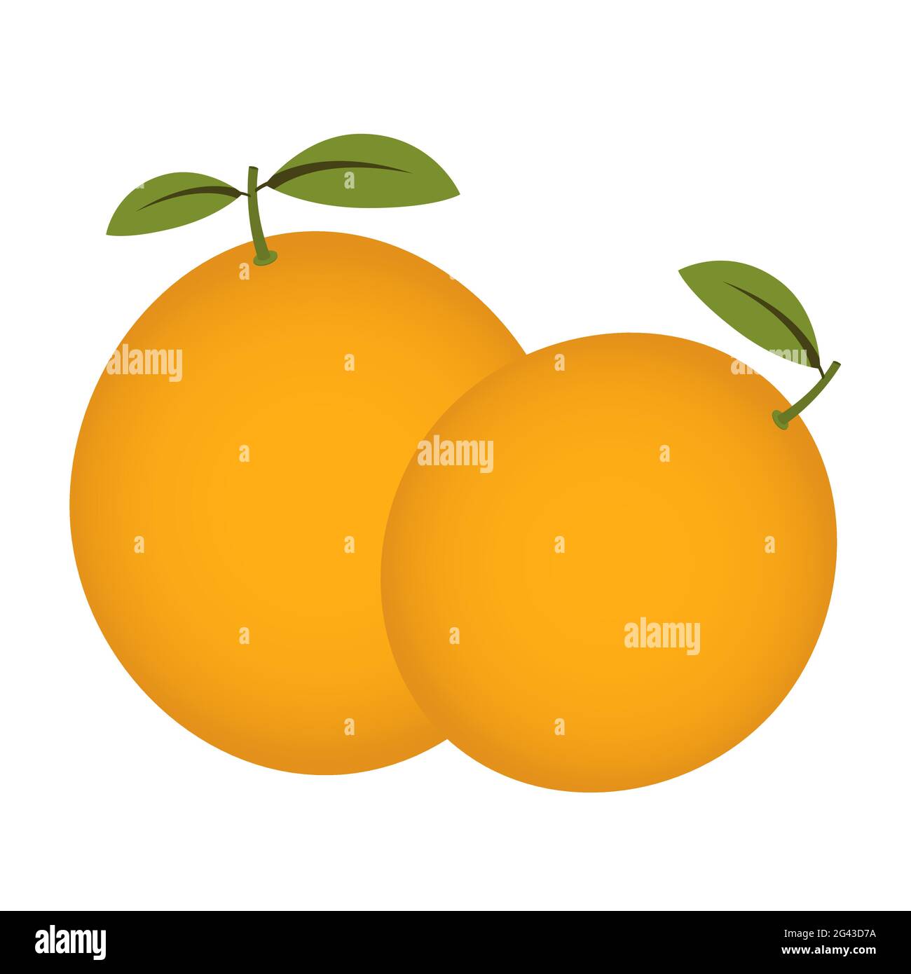 Orange fruit isolated on a white background Stock Vector Image & Art ...