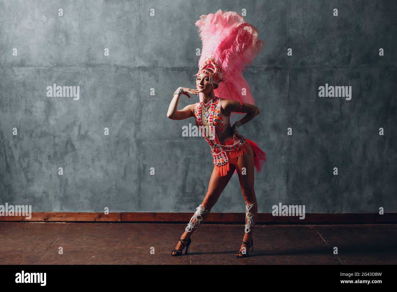 https://c8.alamy.com/comp/2G43DBW/woman-in-samba-or-lambada-costume-with-pink-feathers-plumage-2G43DBW.jpg