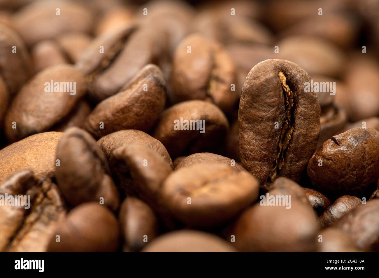 Coffee beans group fresh roasted arabica. Stock Photo