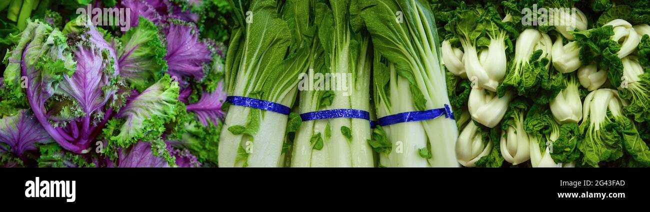 Photograph of fresh vegetables Stock Photo