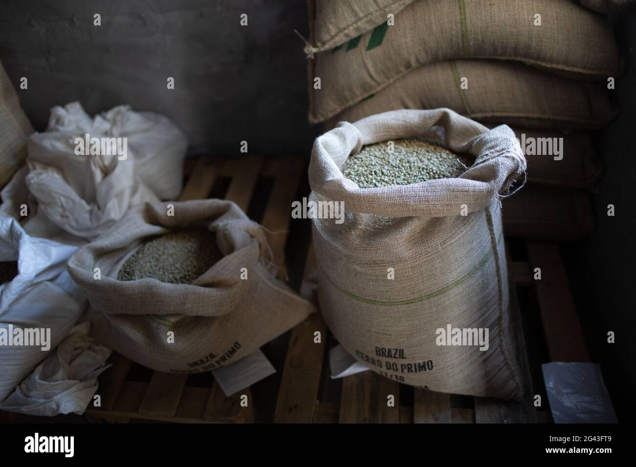 Green coffee beans in burlap sack at roaster company Stock Photo