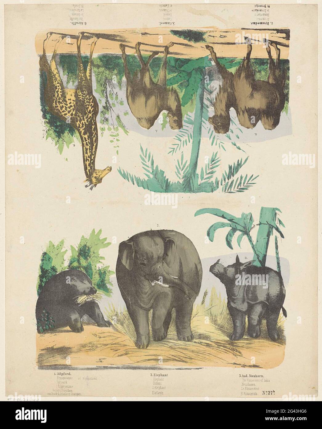 Wild animals. Leaf with 2 performances of three wild animals each. Above: (upside down) a camel, a dromedary and a giraffe. Below: a hippopotamus, an elephant and a rhino. Under each image Wild animals. Leaf with 2 performances of three wild animals each. Above: (upside down) a camel, a dromedary and a giraffe. Below: a hippopotamus, an elephant and a rhino. Under each image