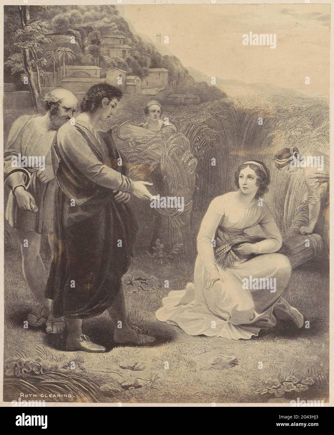 Ruth gleaning hi-res stock photography and images - Alamy