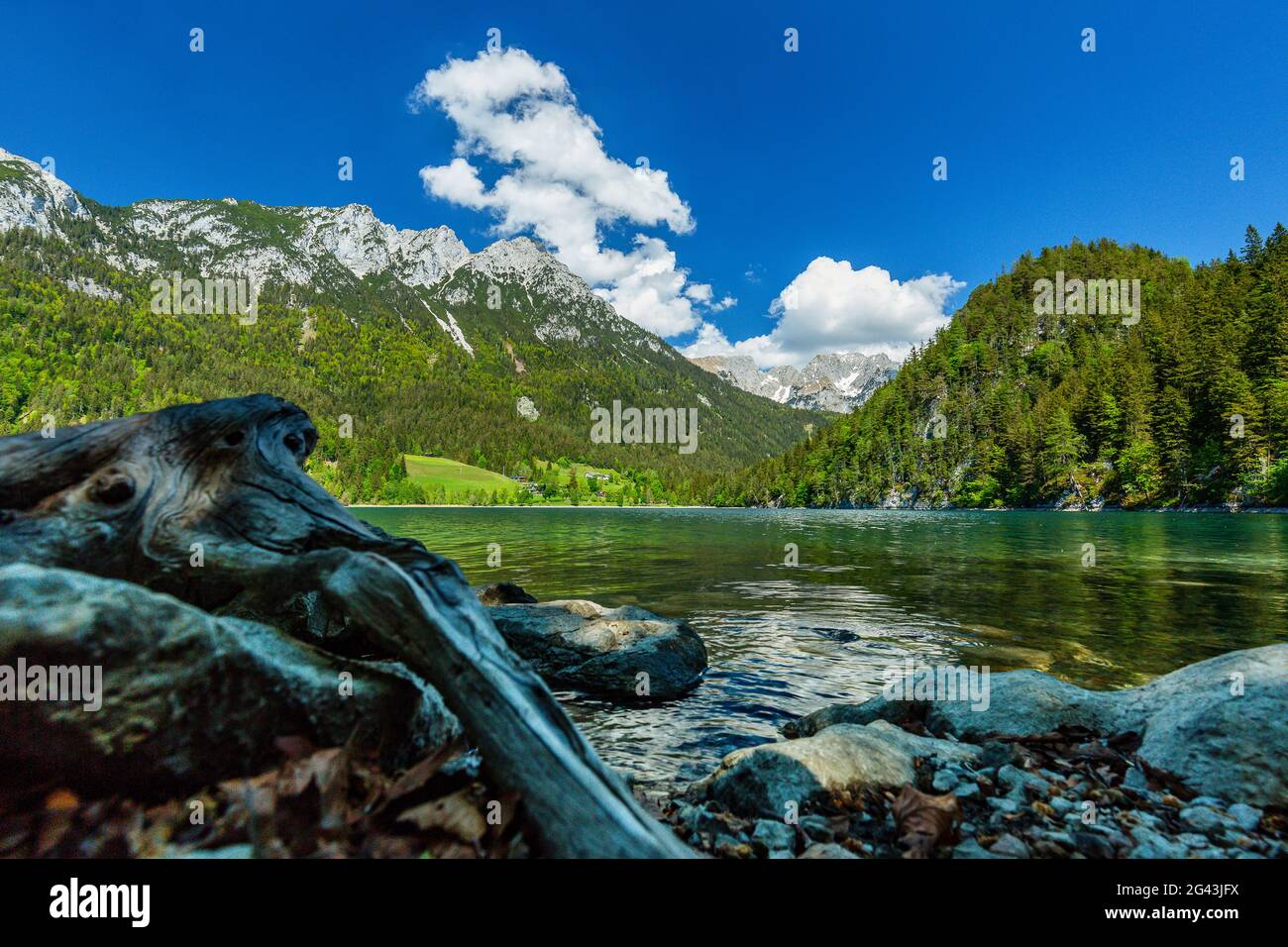 Shore of Hintersteinersee with Wilder Kaiser, Kaiser Mountains, Tyrol, Austria Stock Photo