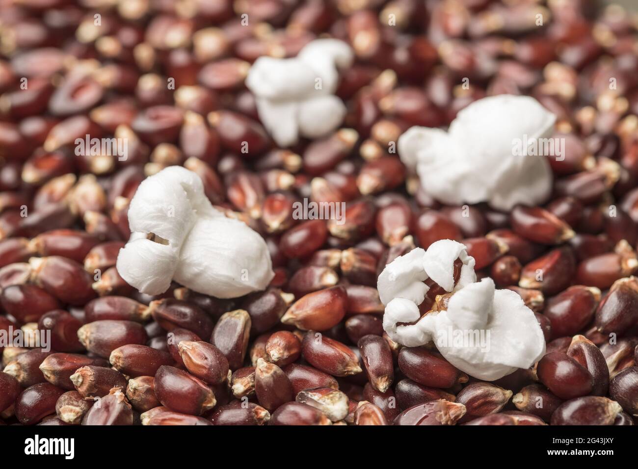 Popped popcorn on raw kernels Stock Photo Alamy