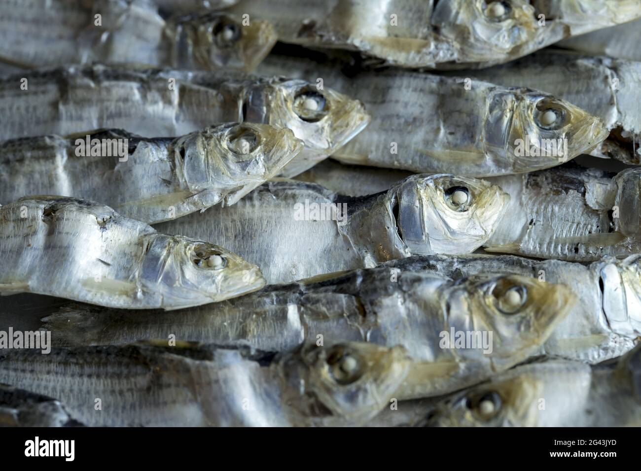 A cluster of dried sardines Stock Photo Alamy