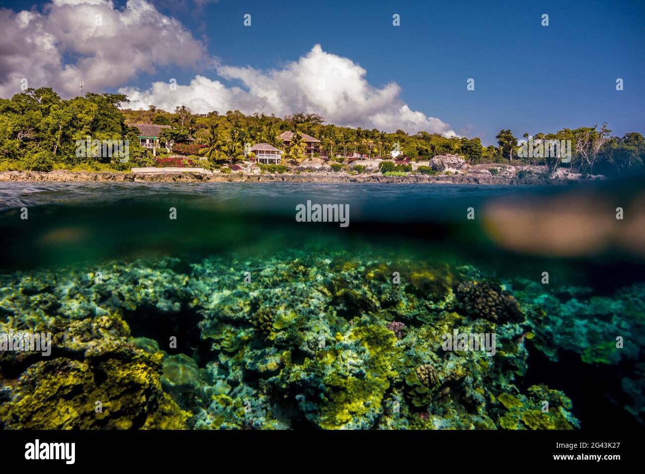 Underwater off Tanna, Vanuatu, South Pacific, Oceania Stock Photo