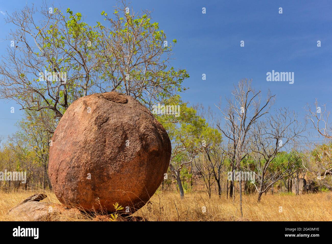 Spherical rock in the middle of the outback, near Edith Falls, Northern ...