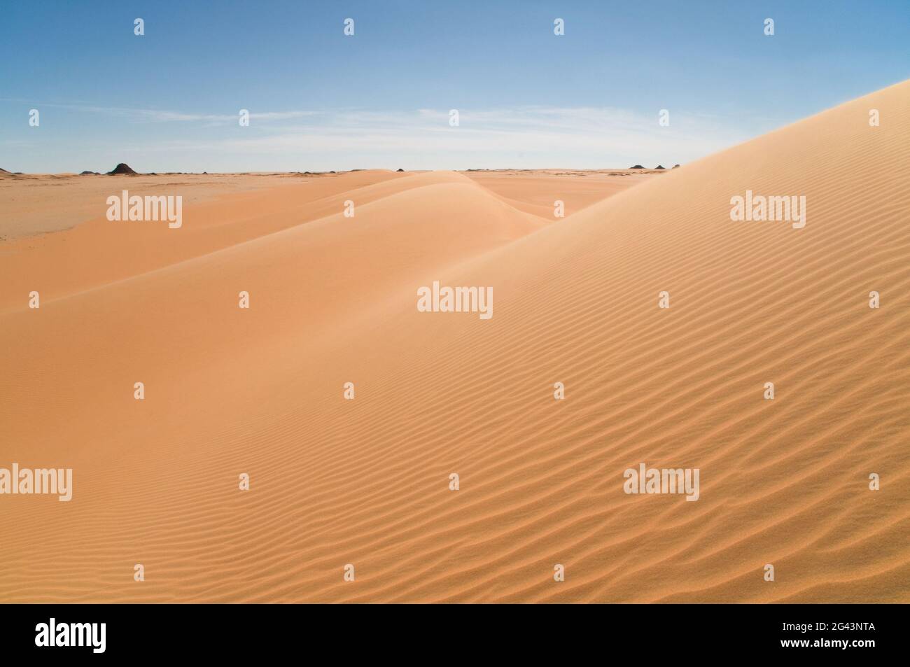 Wind ripples on a large whaleback sand dune on the edge of the Great Sand Sea, in the Western Desert region of the Sahara Desert, Egypt. Stock Photo