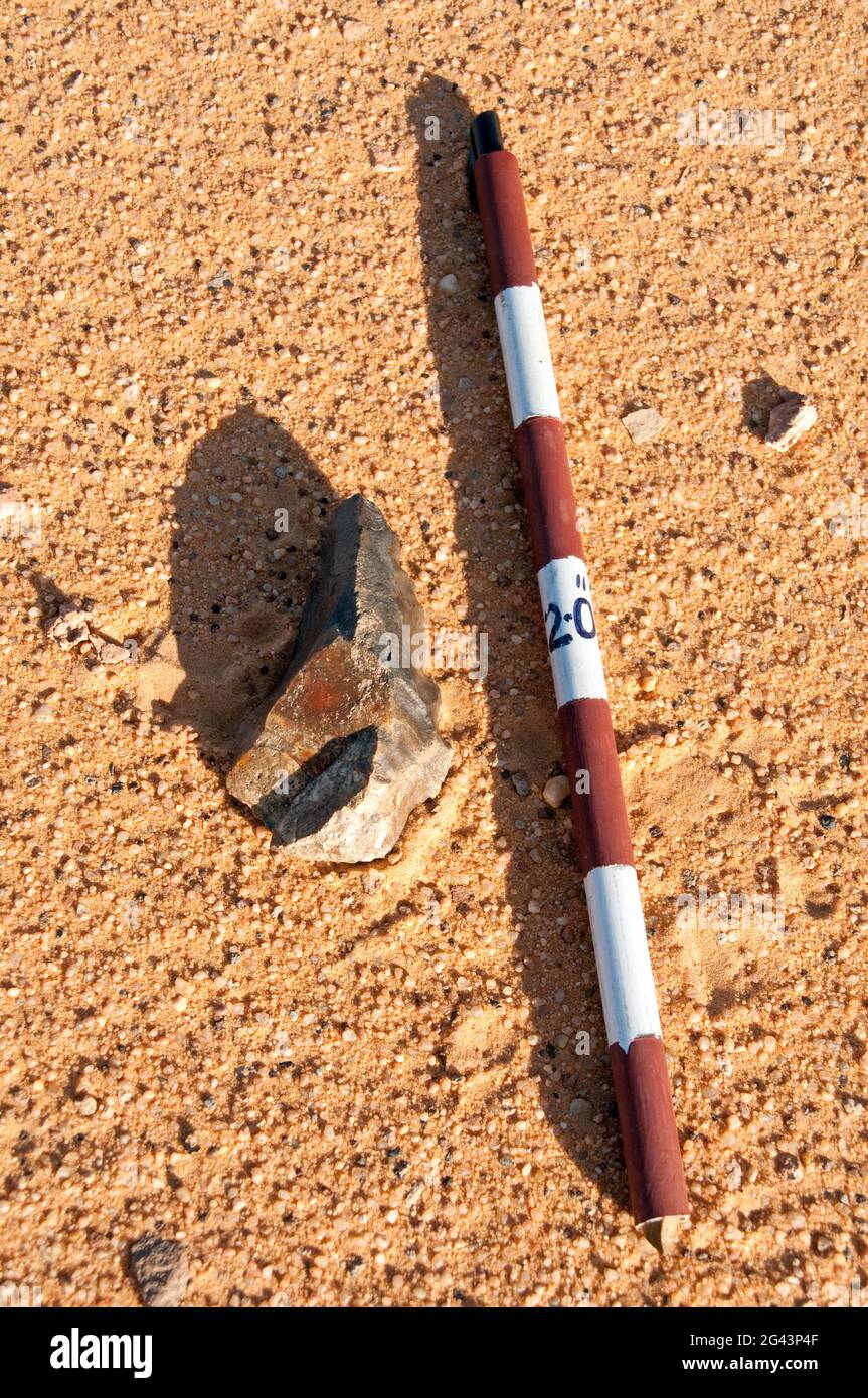 Hammerstone stone age hires stock photography and images Alamy