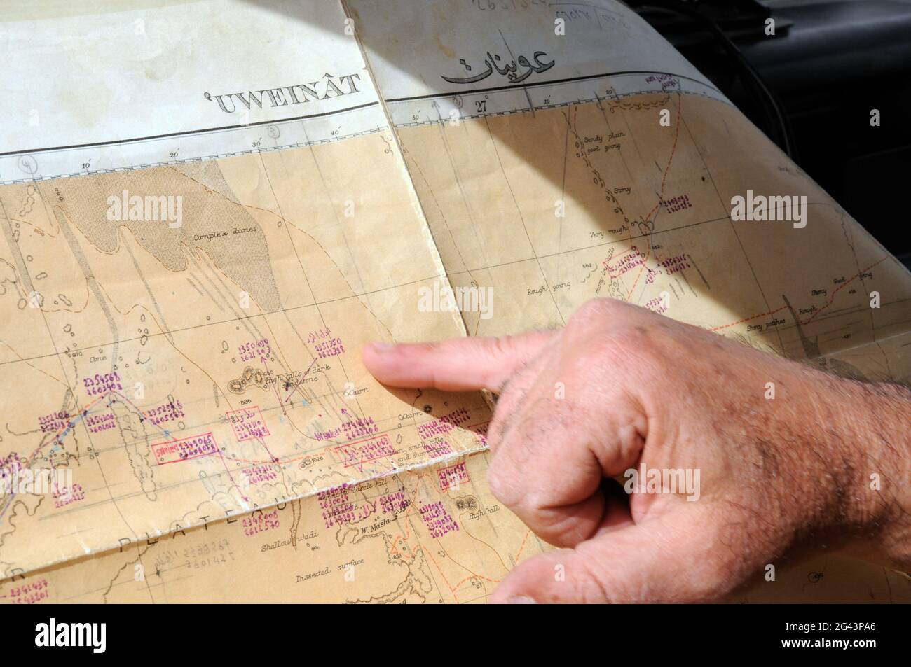 A desert safari leader plans his route on a map of the Gilf Kebir and Jebel Uweinat area of the Sahara Desert, in the Western Desert region of Egypt. Stock Photo