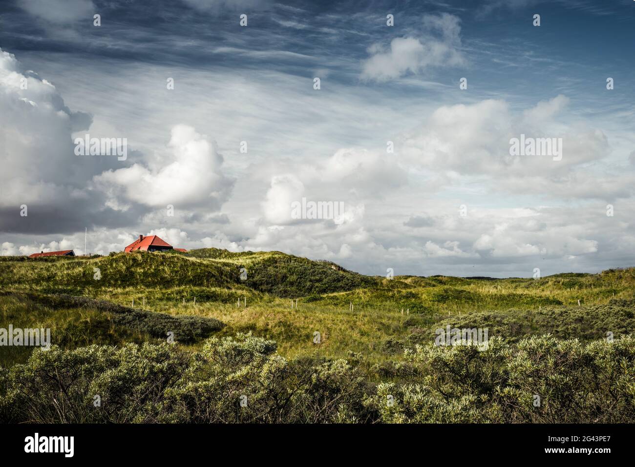 Dune landscape with house, Spiekeroog, East Frisia, Lower Saxony, Germany, Europe Stock Photo