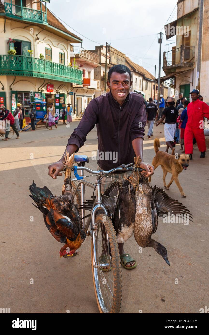 Man transports poultry by bicycle, tribe of the Betsileo, Ambalavao, Fianarantsoa Region, Madagascar, Africa Stock Photo