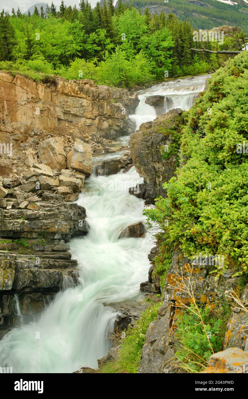 swiftcurrent falls/glacier national park Stock Photo