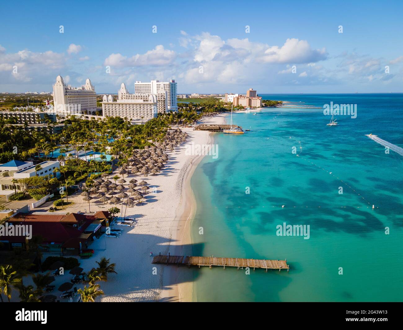 Palm beach Aruba Caribbean, white long sandy beach with palm trees at