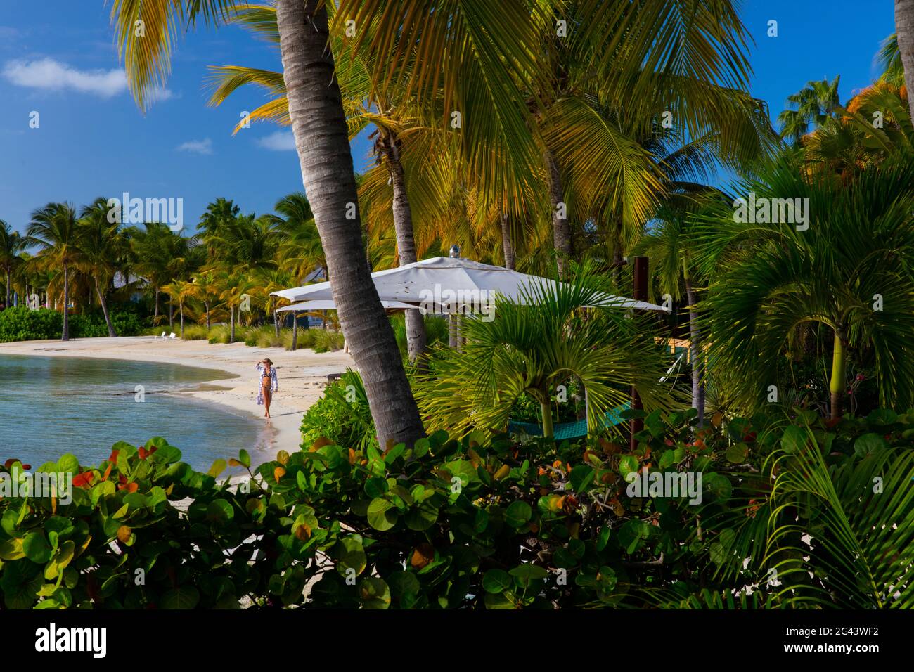 A woman walking along a beach set in a very lush, tropical setting, with umnbrella´s peeking out from the palmtrees. Stock Photo