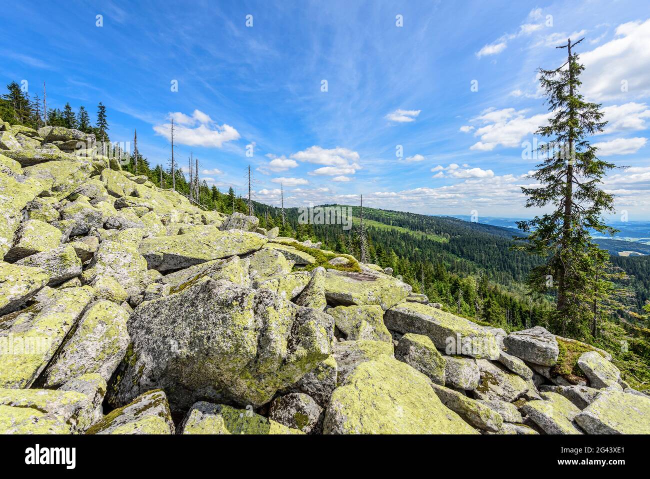 Steinernes Meer in the Bavarian Forest, Bavaria, Germany Stock Photo