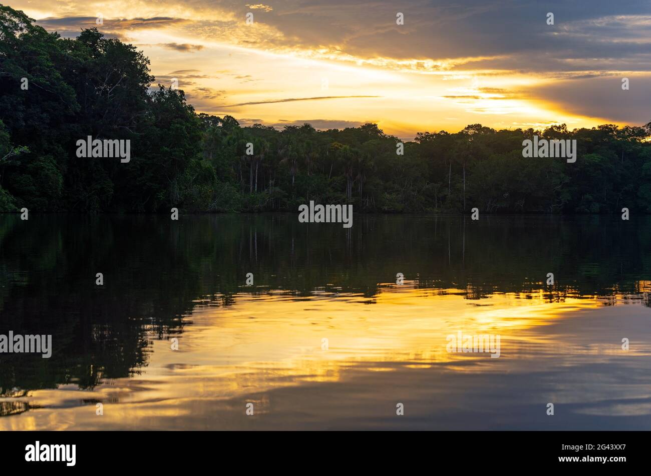 Amazon river rainforest sunset, Yasuni national park, Ecuador. Stock Photo
