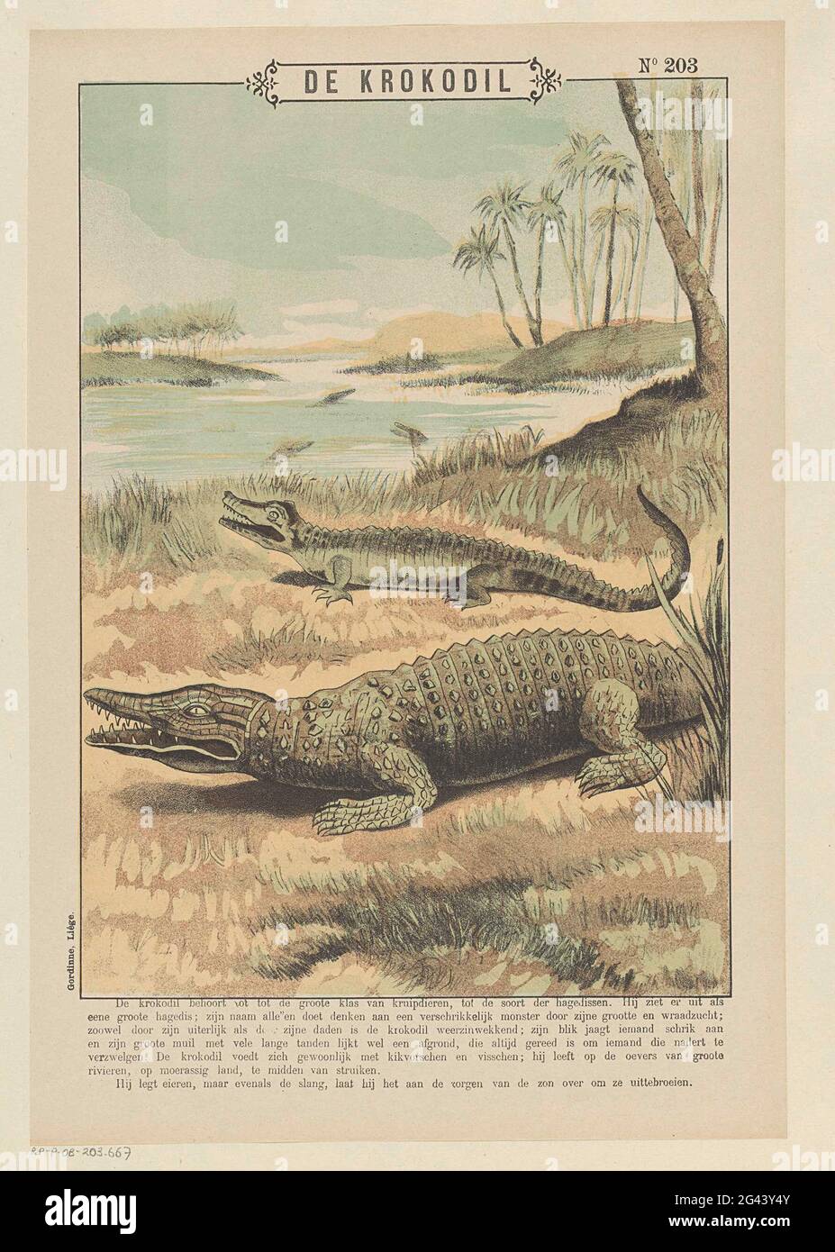 Vintage felső - Krokodil Vintage felső - Krokodil