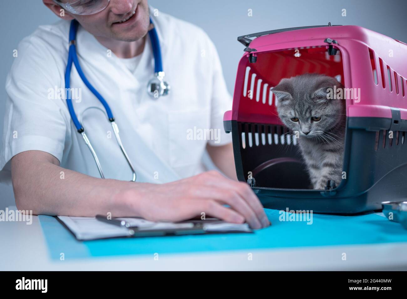 Cat in pet carrier on examination table of veterinarian clinic with pet doctor. Male veterinarian in white medical suit making n Stock Photo