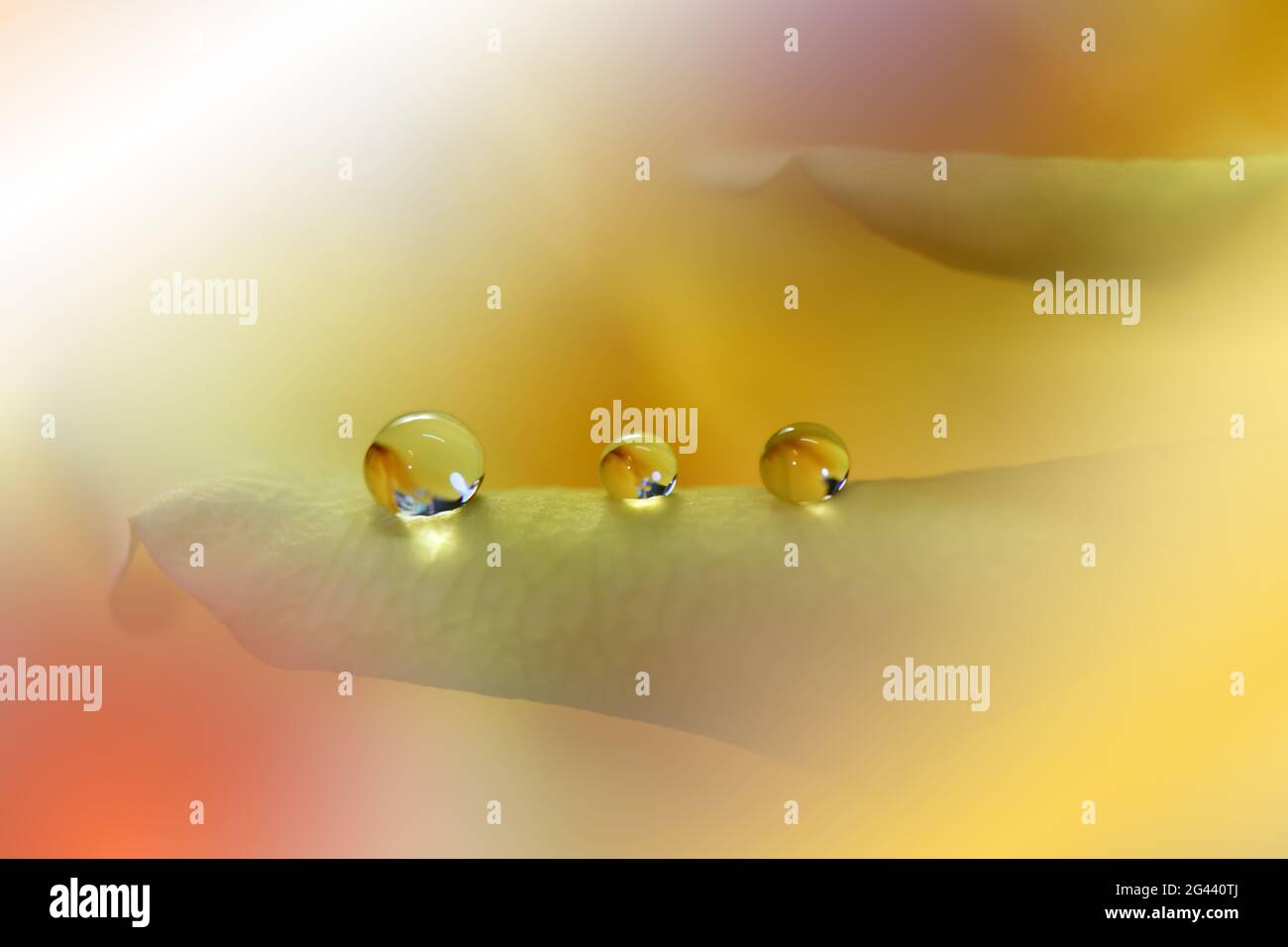 Designmagic hi-res stock photography and images - Alamy