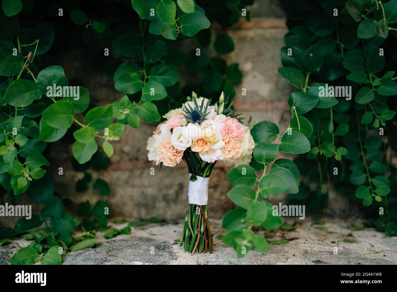 Bridal bouquet of white and pink peonies, eryngium and green buds, with white ribbons down on the stone near green branches Stock Photo