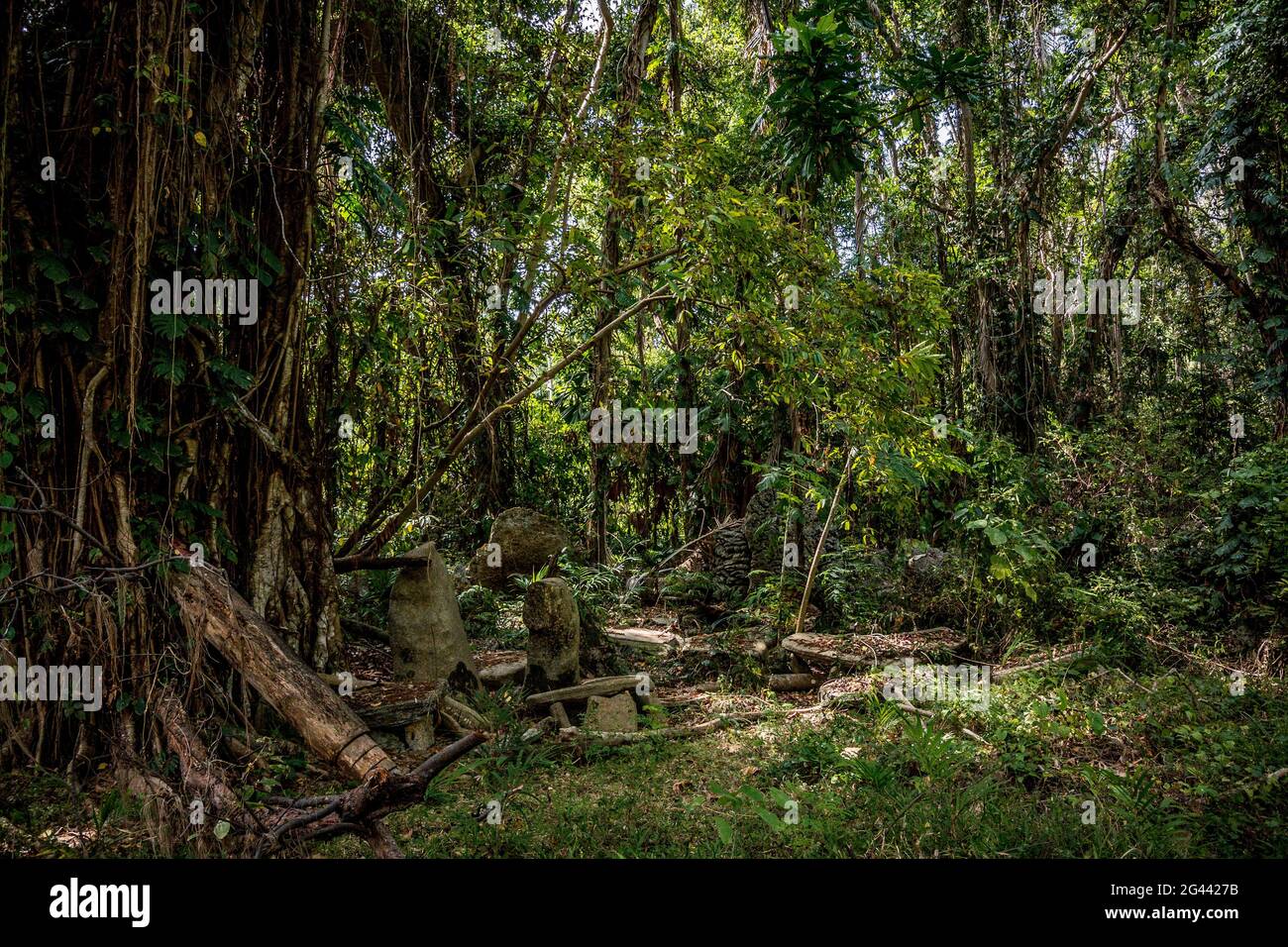 Historic ritual site, Wala Island, Malekula, Vanuatu, South Pacific ...