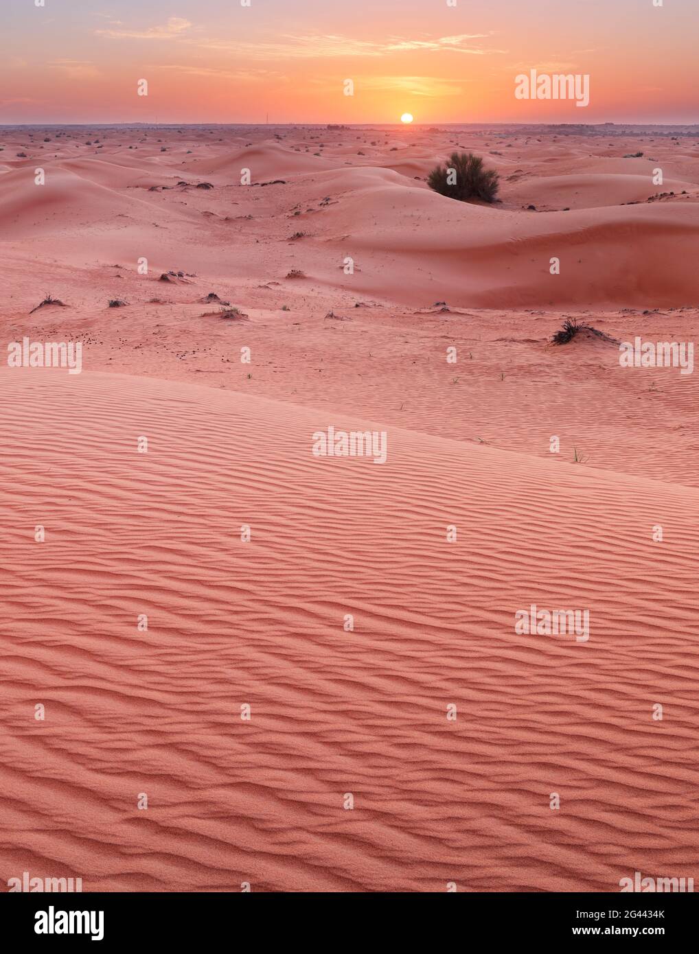 Dunes Desert Dubai United Arab Emirates Stock Photo Alamy Dunes Desert Dubai United Arab Emirates Stock Photo Alamy