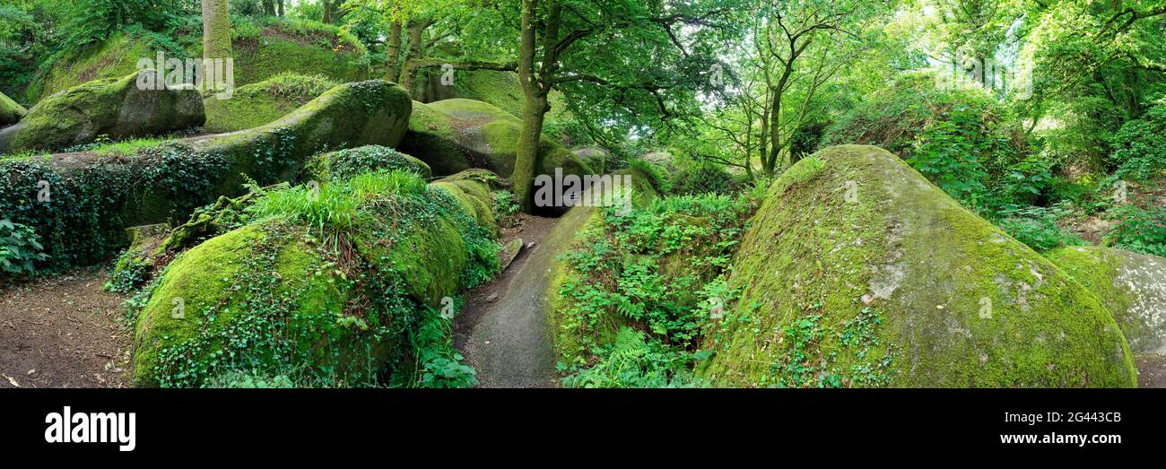 Landscape with moss-covered boulders, Huelgoat, Bretagne, France Stock Photo