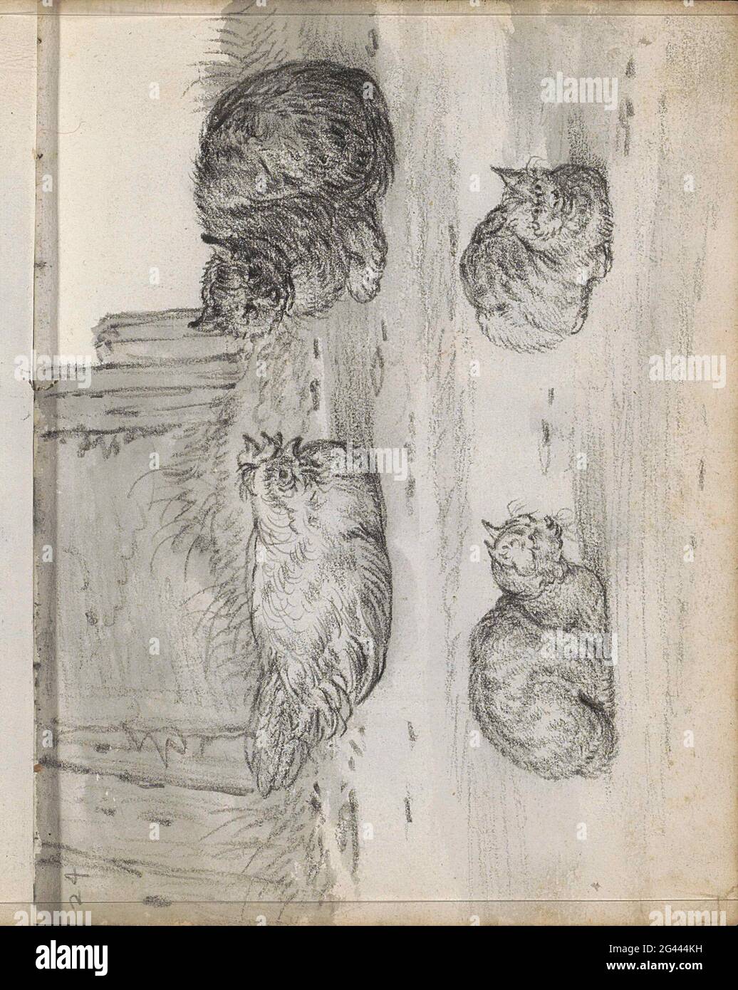 Chicken and three cats in a yard. Leaf 24 Recto from a sketchbook with 49 sheets. Stock Photo