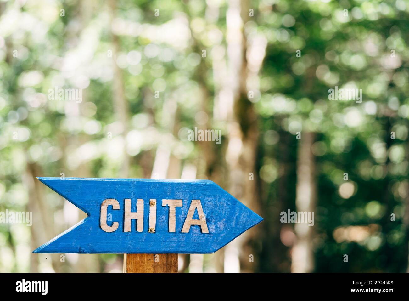 Blue directional arrow with the inscription in the forest. Title: CHITA Stock Photo