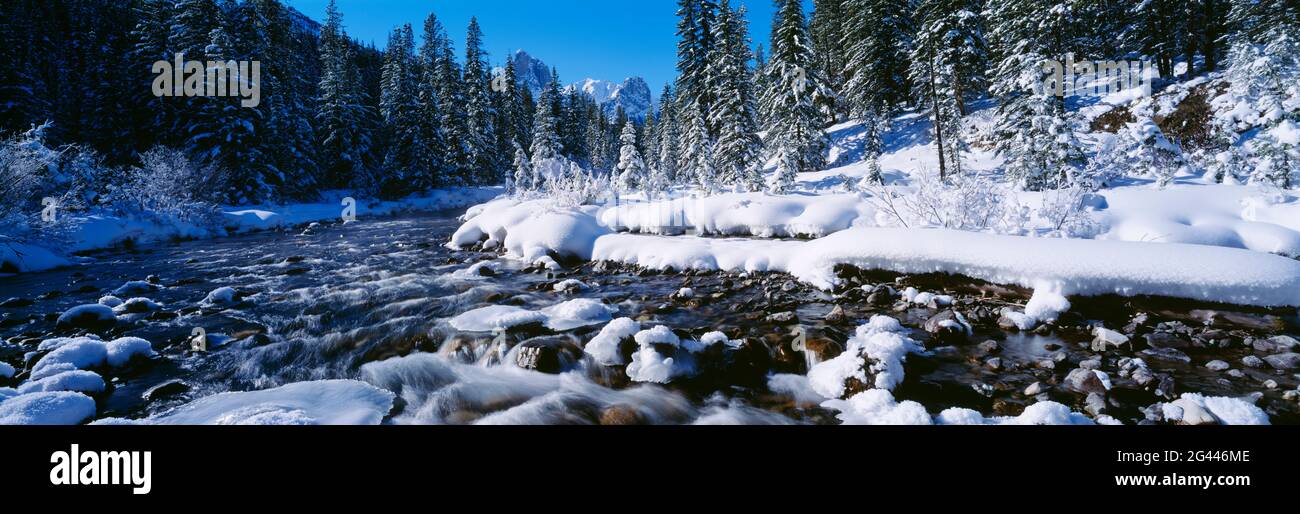 Landscape with river and forest in winter, Banff National Park, Alberta, Canada Stock Photo
