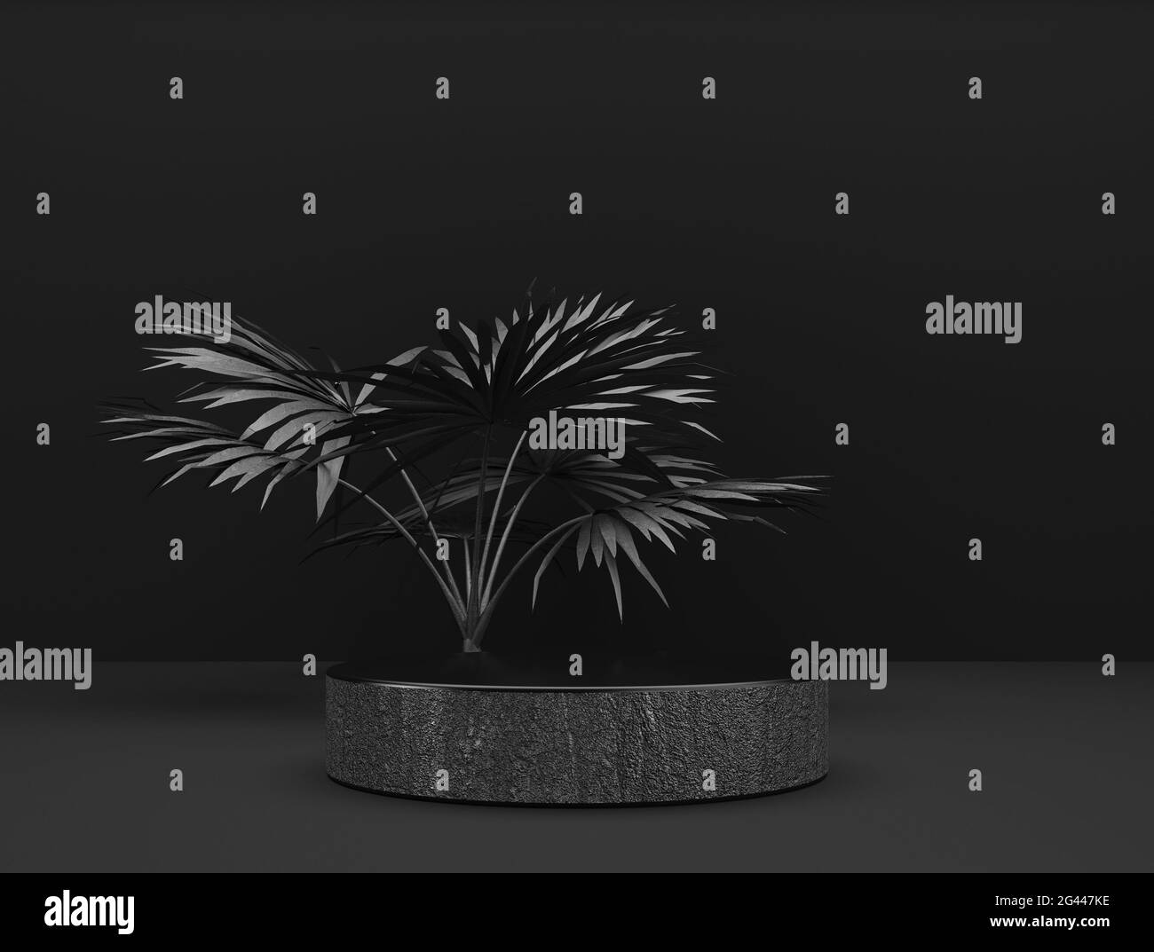 Abstract template as presentation stage with leaf in front of background - 3D Illustration Stock Photo