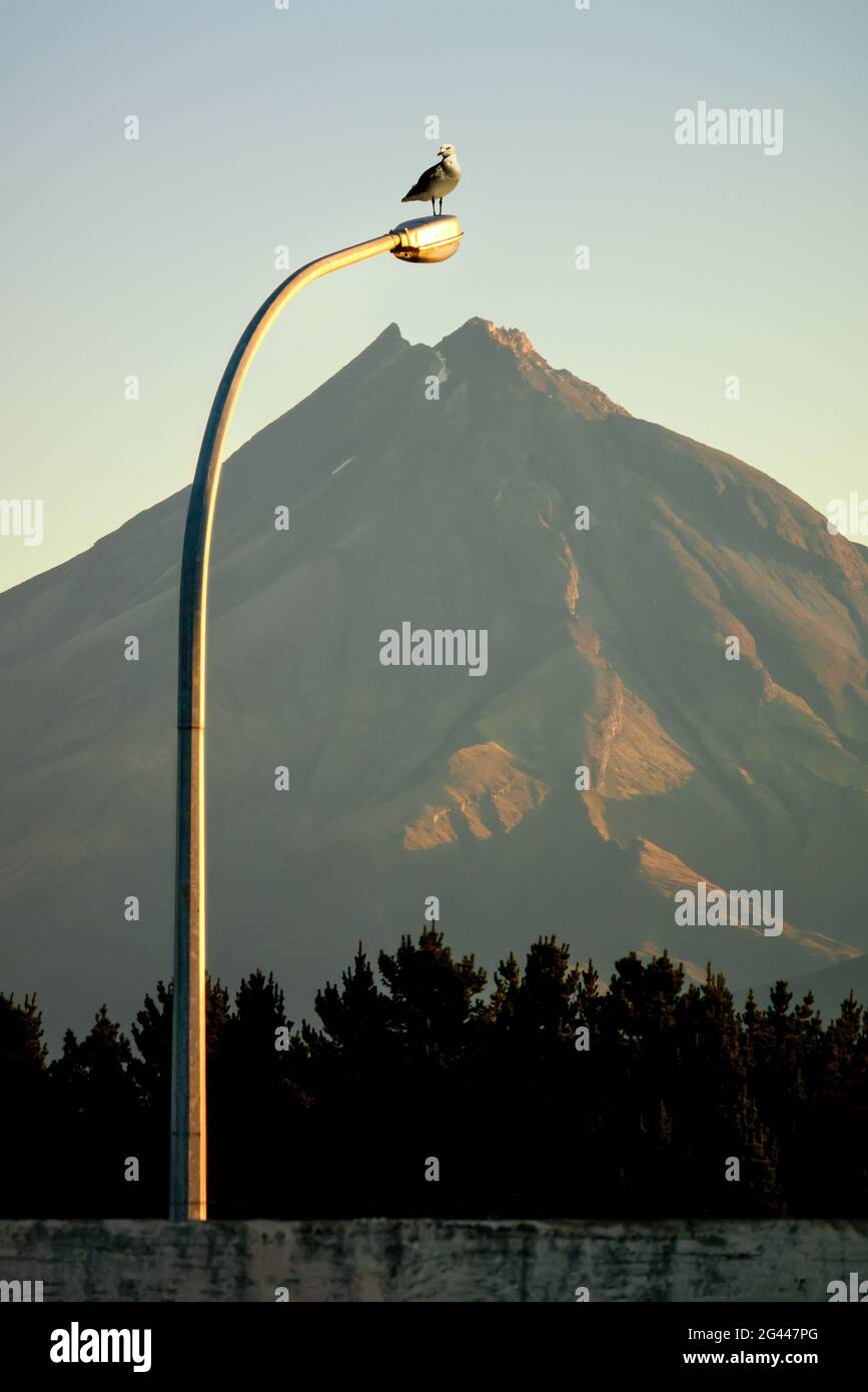 Mt. Taranaki with street light Stock Photo