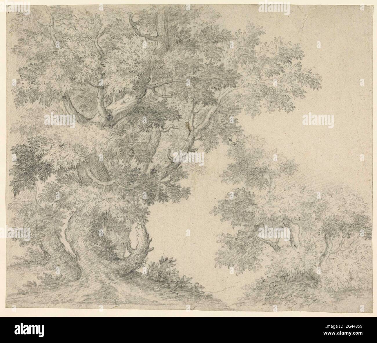Two tree groups hi-res stock photography and images - Alamy