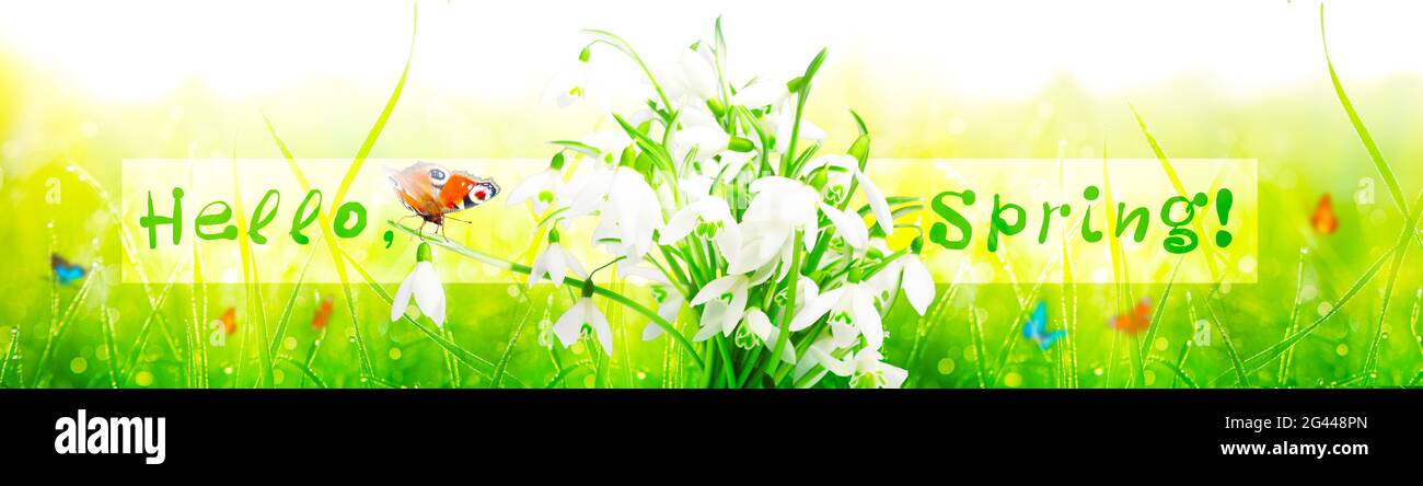 Salvador Dali The First Days Of Spring Mutualart